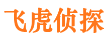 石家庄私人调查